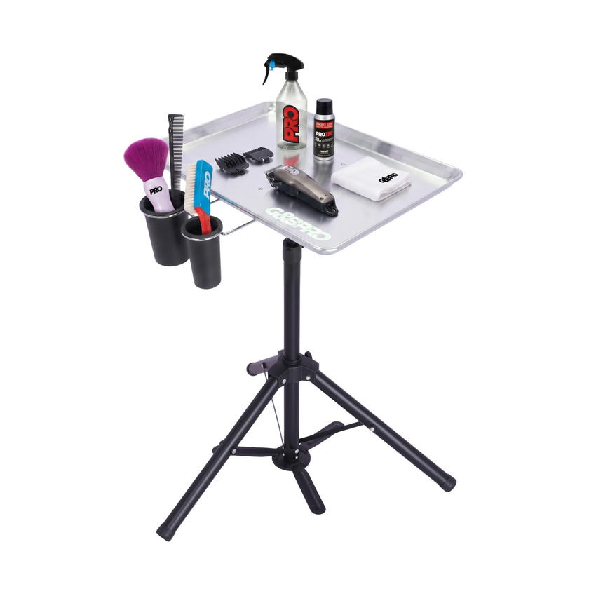 Portable Mobile Tray