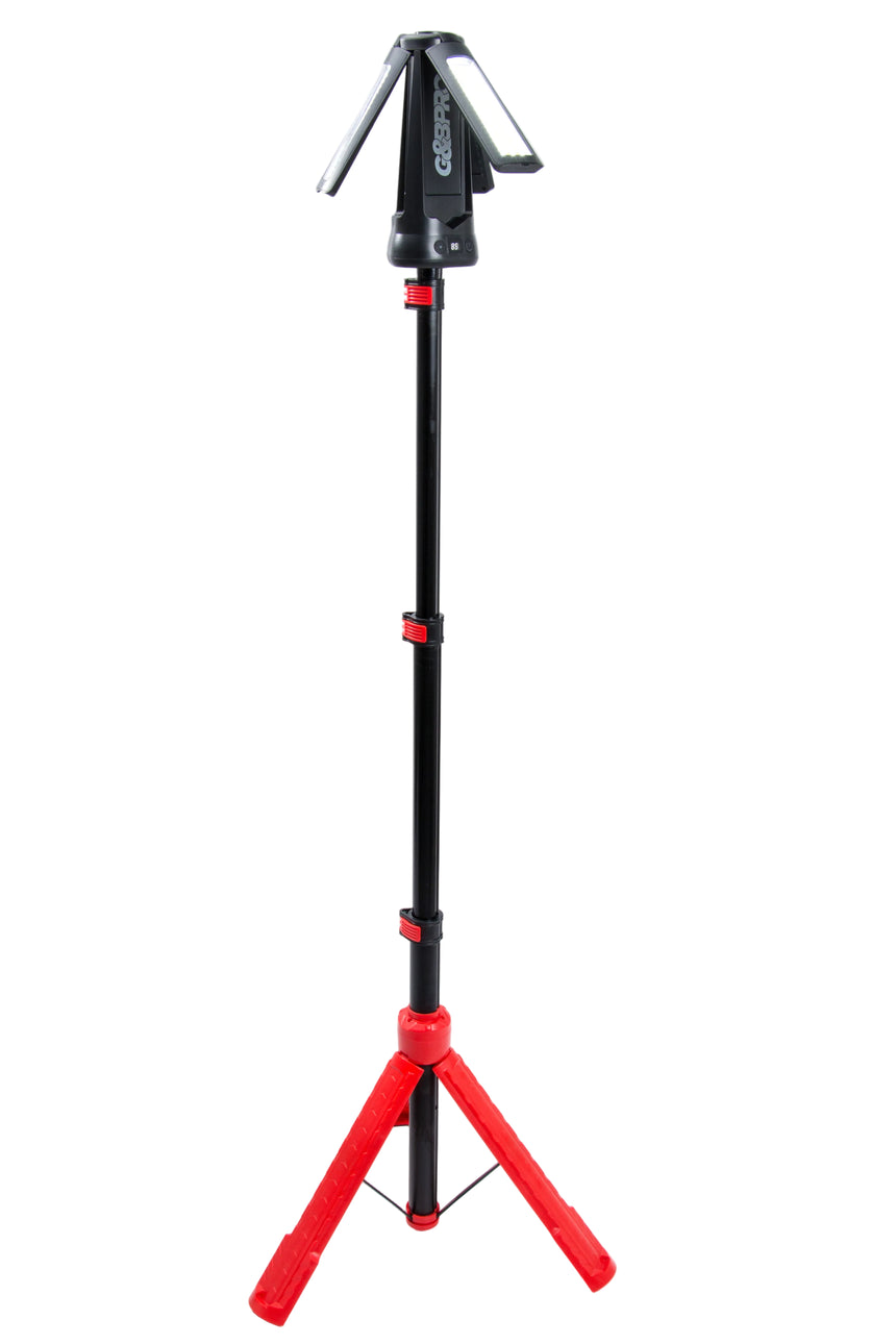 Multi-Directional LED Light Stand