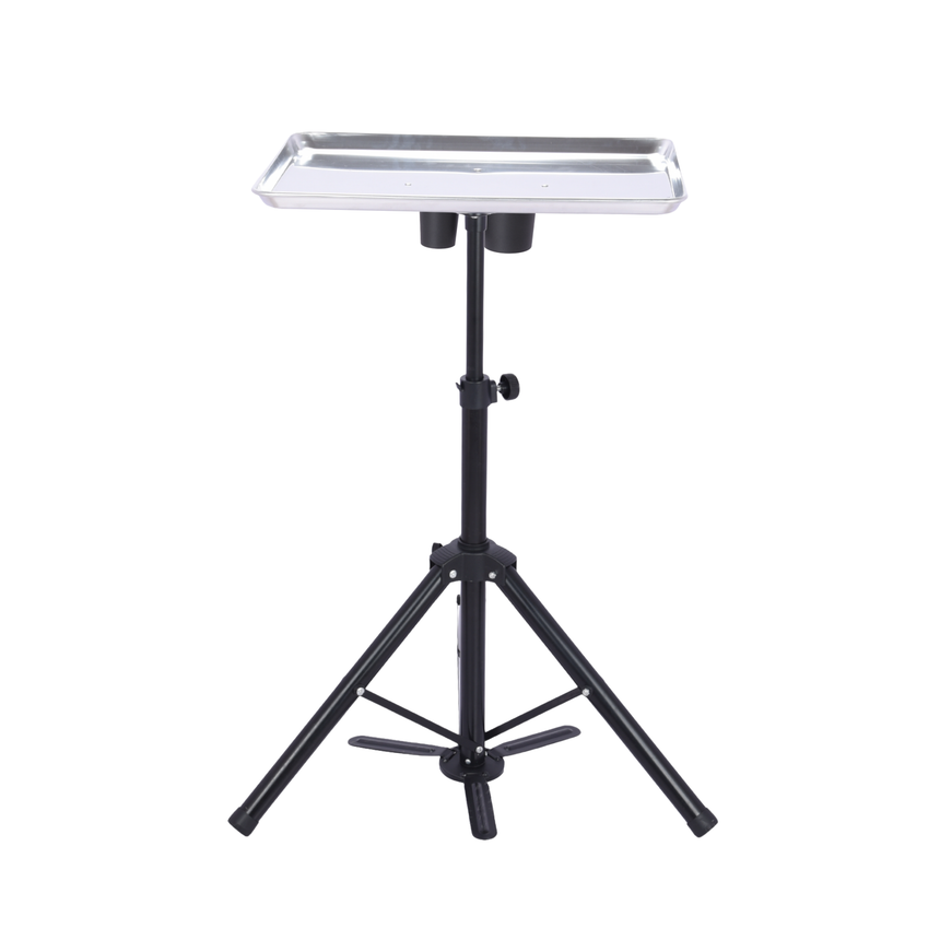 Portable Mobile Tray