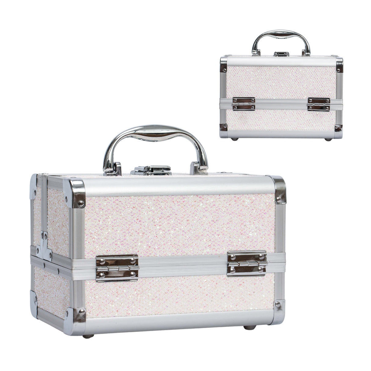 PRO Aluminum Travel Case