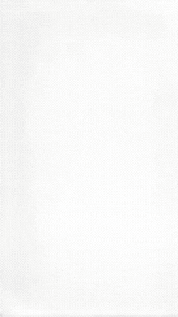 Full Size Mobile Station SE